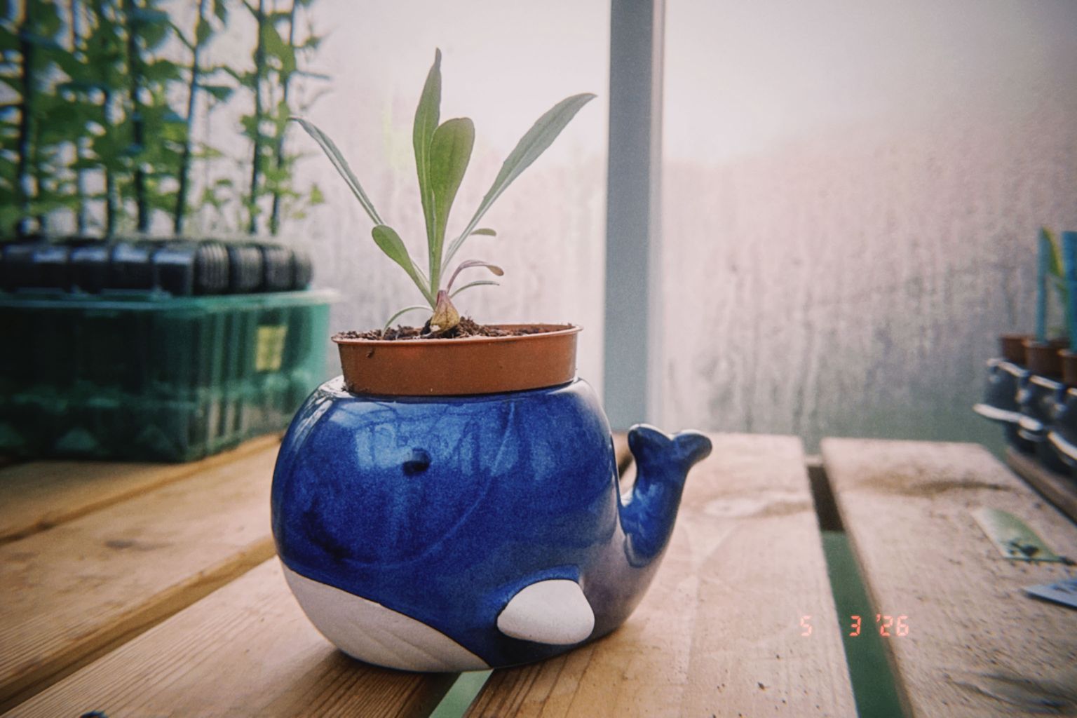 Project image for Studio and Life